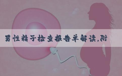 男性精子检查报告单解读，附vap/vcl/vsl的标准范围