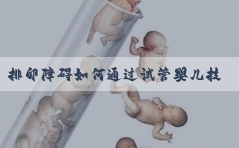 排卵障碍如何通过试管婴儿技术成功怀上宝宝？