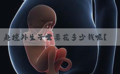 赴境外生子需要花多少钱呢？