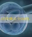 第三代试管婴儿全流程，重点是这个操作_南方39国际医疗