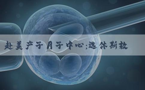 赴美产子月子中心：选休斯敦还是洛杉矶，哪个城市好？