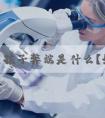 美国生孩子弊端是什么？好处又有哪些？