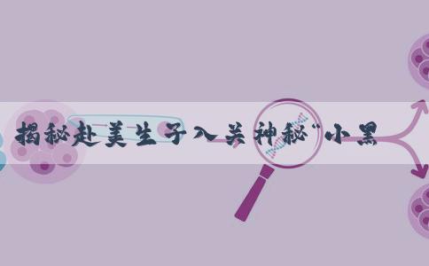 揭秘赴美生子入关神秘“小黑屋”，深度好文