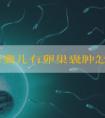 做试管婴儿有卵巢囊肿怎么办?切还是不切看完有定夺