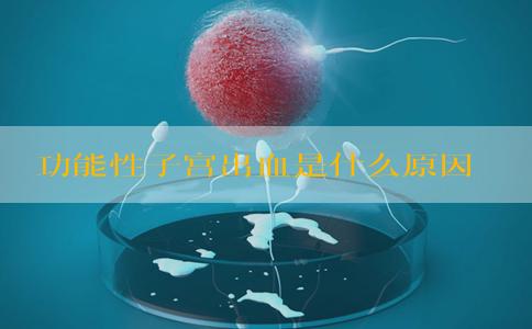功能性子宫出血是什么原因