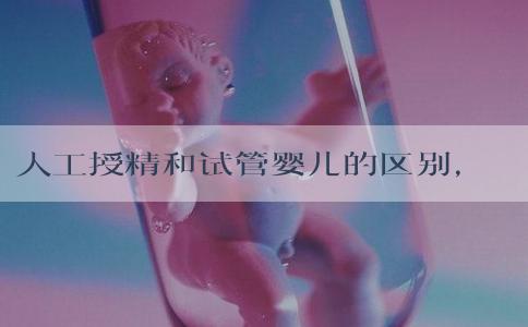 人工授精和试管婴儿的区别，试管婴孩的寿命