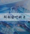 斯利安叶酸片