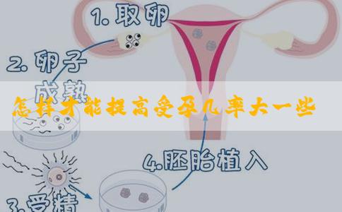 怎样才能提高受孕几率大一些?