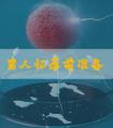 男人怀孕前准备