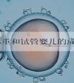 女性体重和试管婴儿的成功率有没有关系?