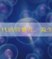 做第三代试管婴儿，发生宫外孕的可能性大吗？
