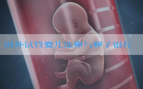 国外试管婴儿冻卵与卵子银行服务