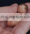 高龄试管成功率低的原因？取卵质量不好怎么办
