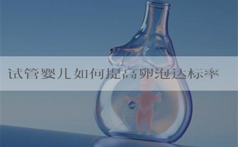 试管婴儿如何提高卵泡达标率？