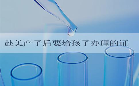赴美产子后要给孩子办理的证件有哪些
