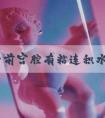 做试管前宫腔有粘连积水，先取卵还是先治疗？