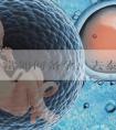 白带异常如何备孕，去泰国做试管婴儿有哪些操作？