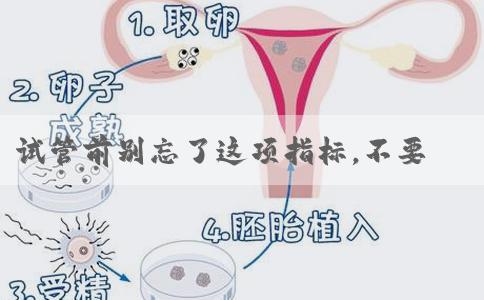 试管前别忘了这项指标，不要浪费好胚胎！