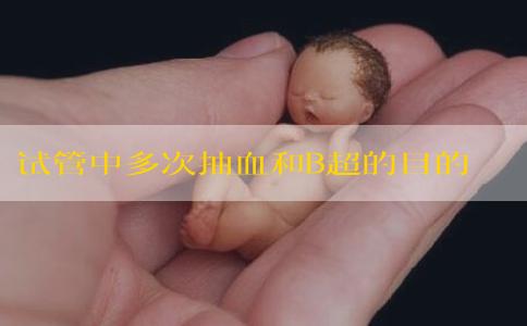 试管中多次抽血和B超的目的是什么，会很疼吗？