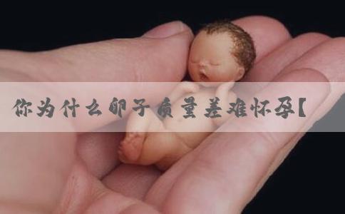 你为什么卵子质量差难怀孕？王芳团队发现重要危险因素！备孕必看