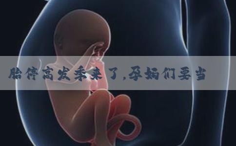 胎停高发季来了，孕妈们要当心！